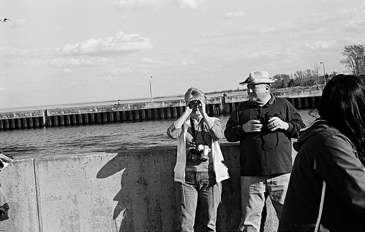 Tourists With Binoculars
