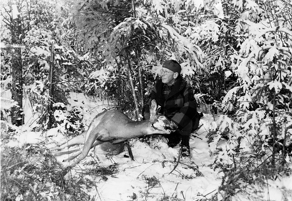 The Deer Hunter