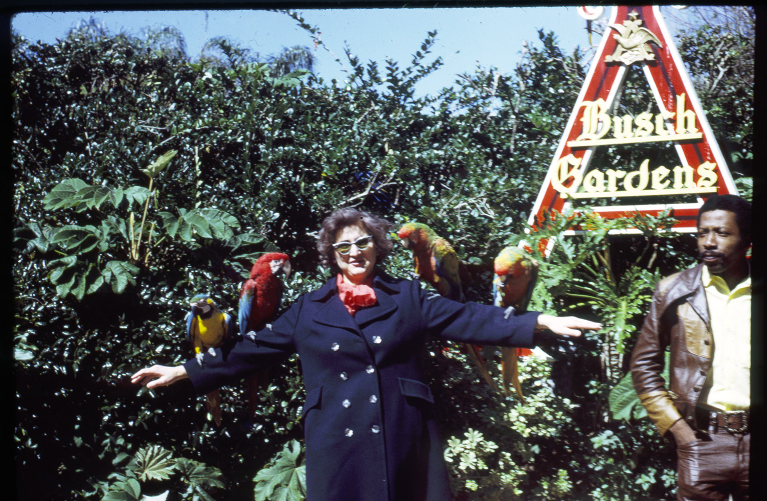 Busch Garden. Woman with parrots
