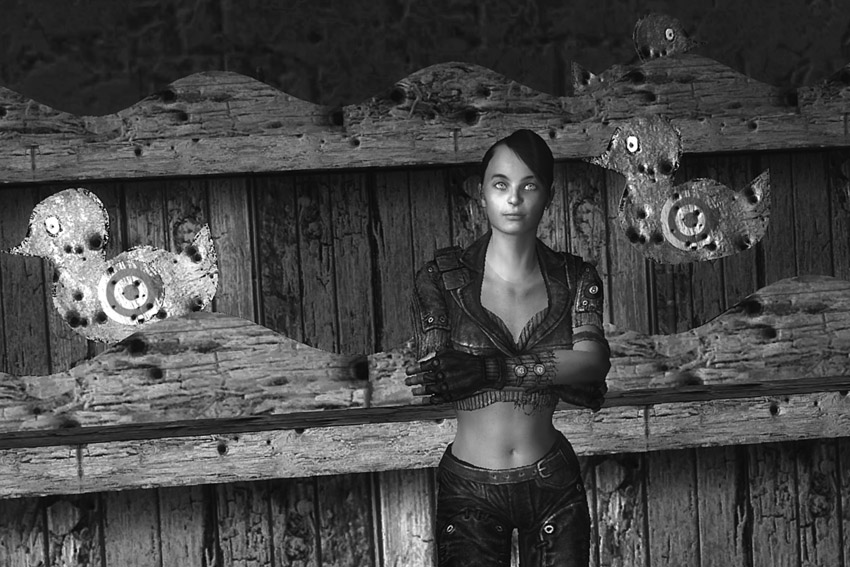 Fallout 3: Ducks