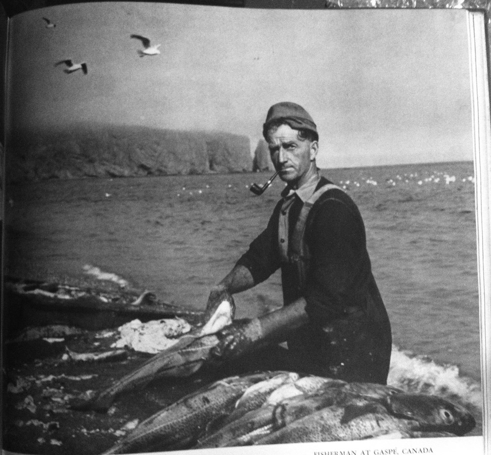 E. Schniewind - Fisherman at Gasp&amp;amp;#233;, Canada