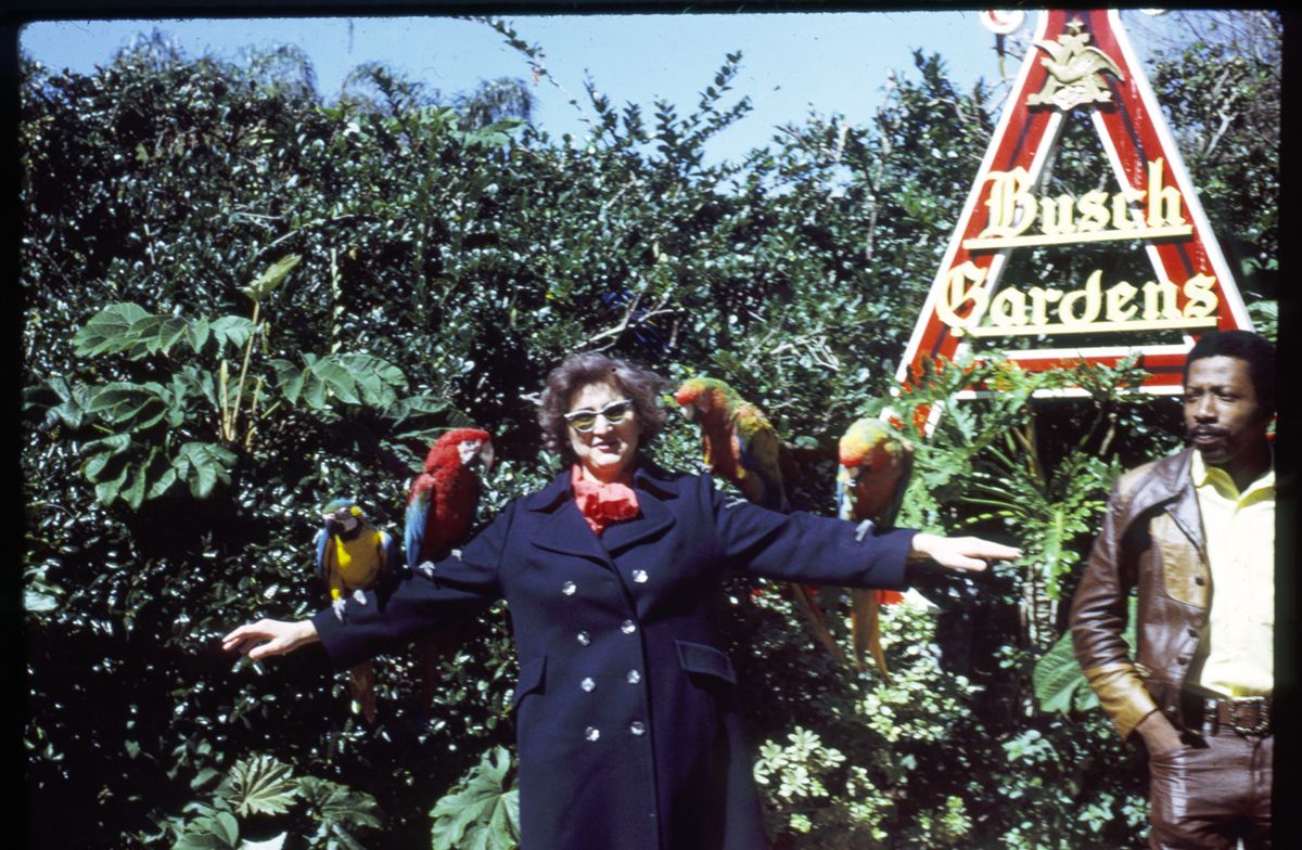 Busch Garden. Woman with parrots