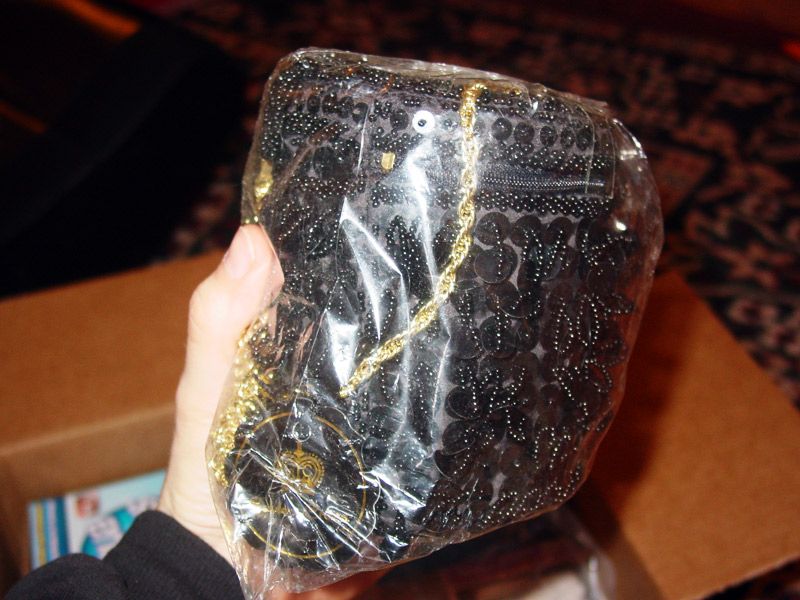 Bag in a Bag