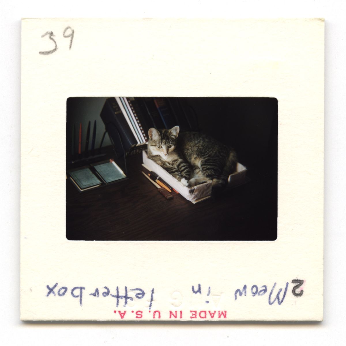 Meow In Letterbox - 1959