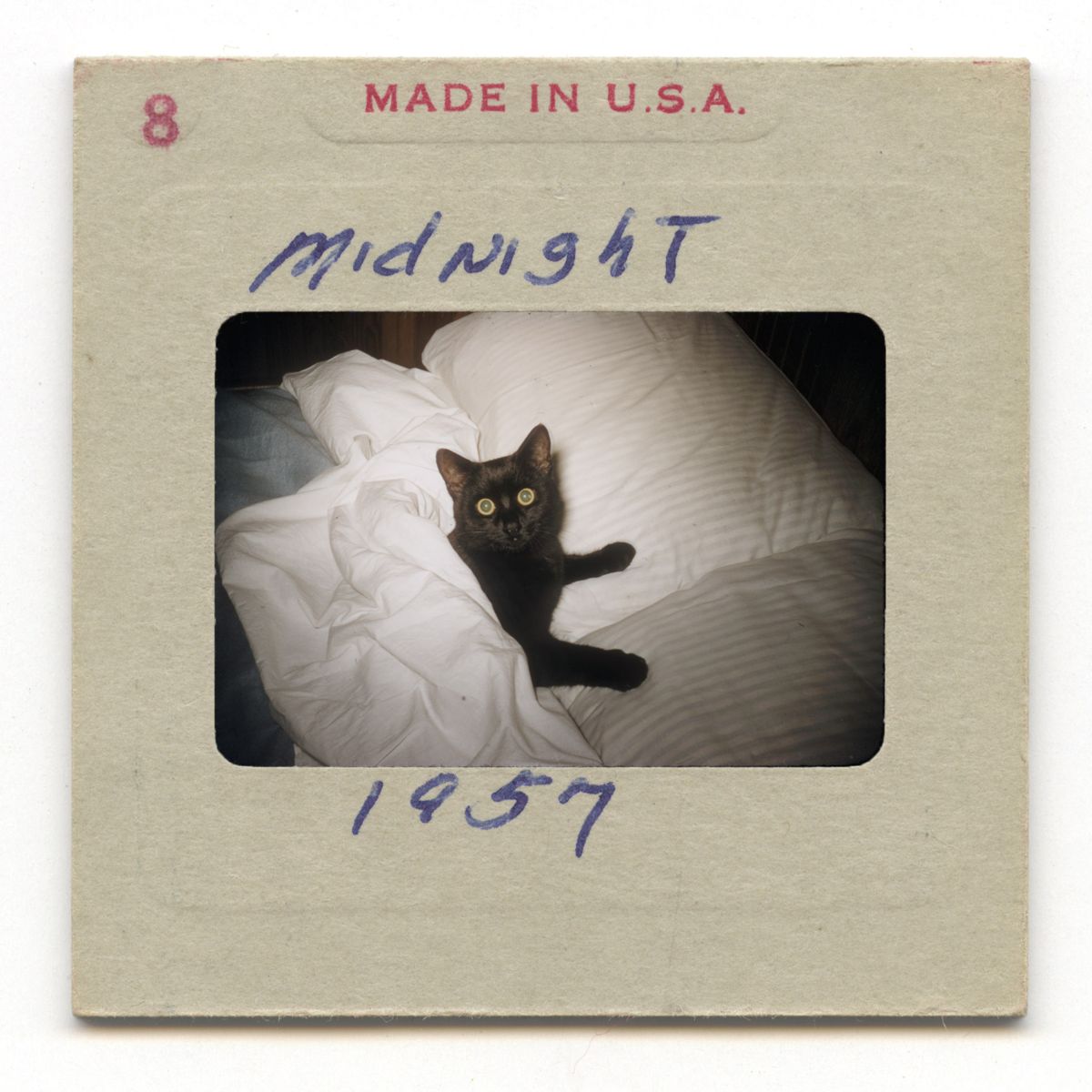 Midnight. Black cat in a bed. 1957