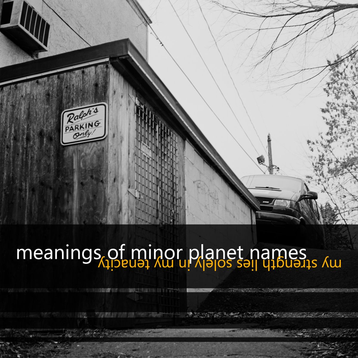 Meanings of minor planet names - My strength lies slowly in my tenacity