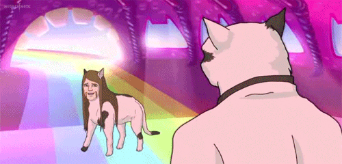 Toki's Dream