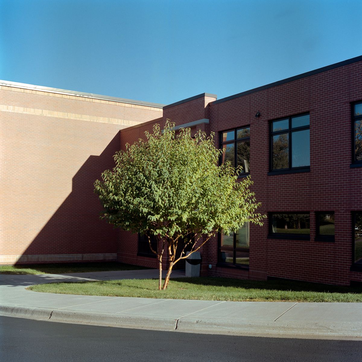 Treetography