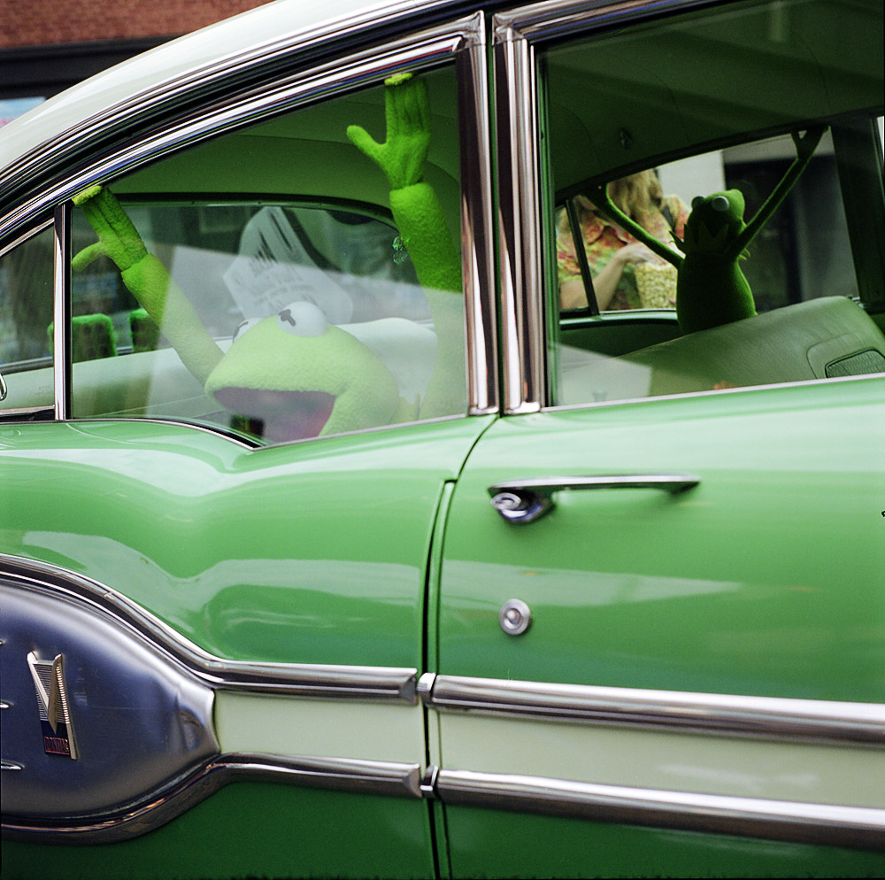 Kermit 2010