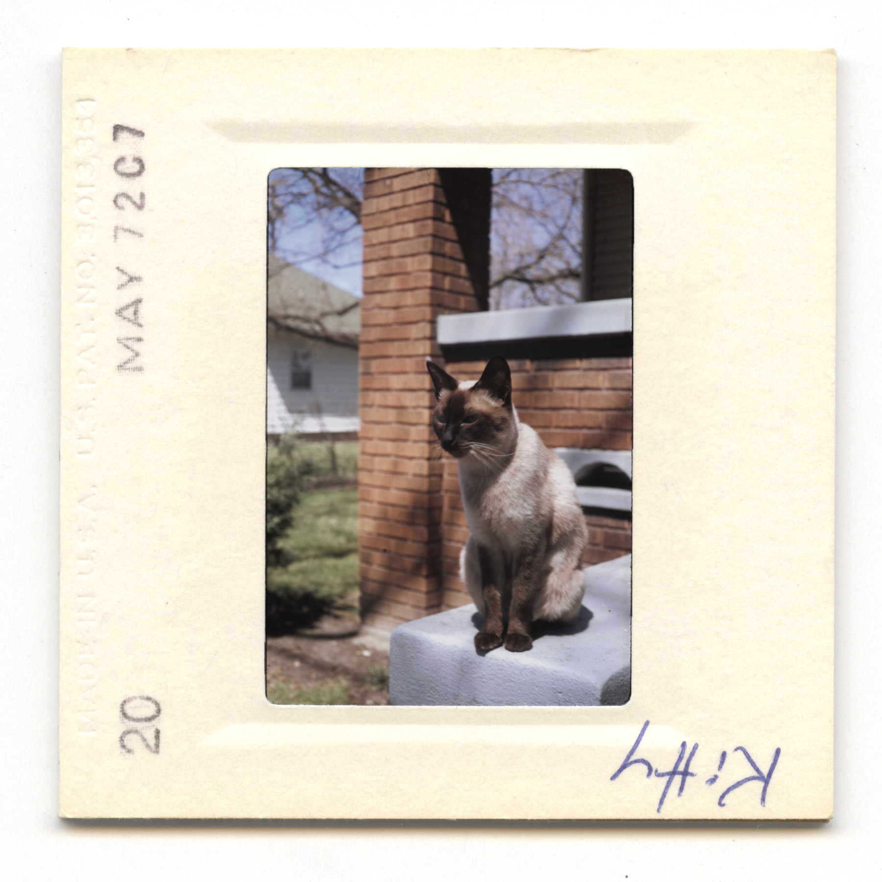 Kitty - 1972