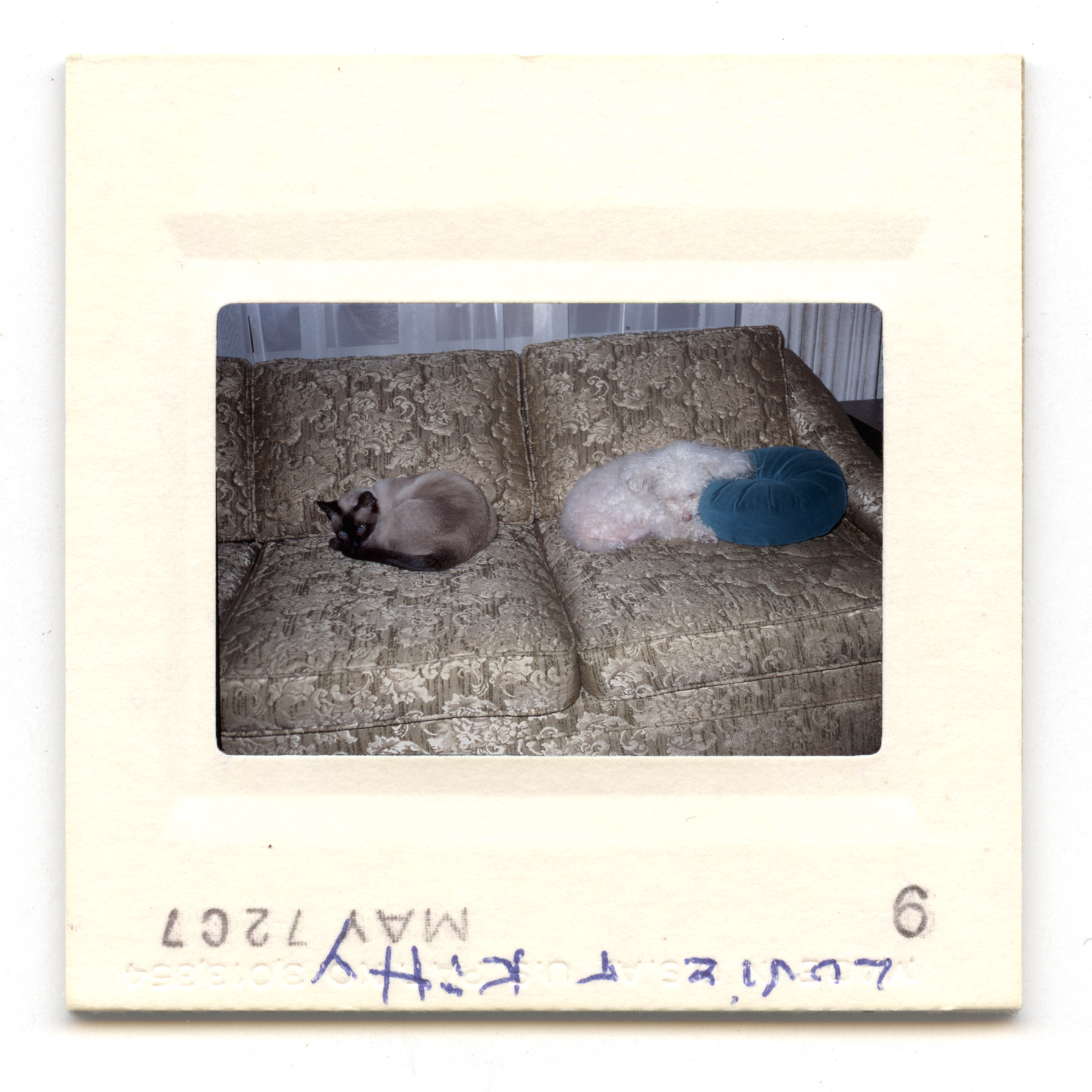 Lovie &amp;amp;amp; Kitty - 1972
