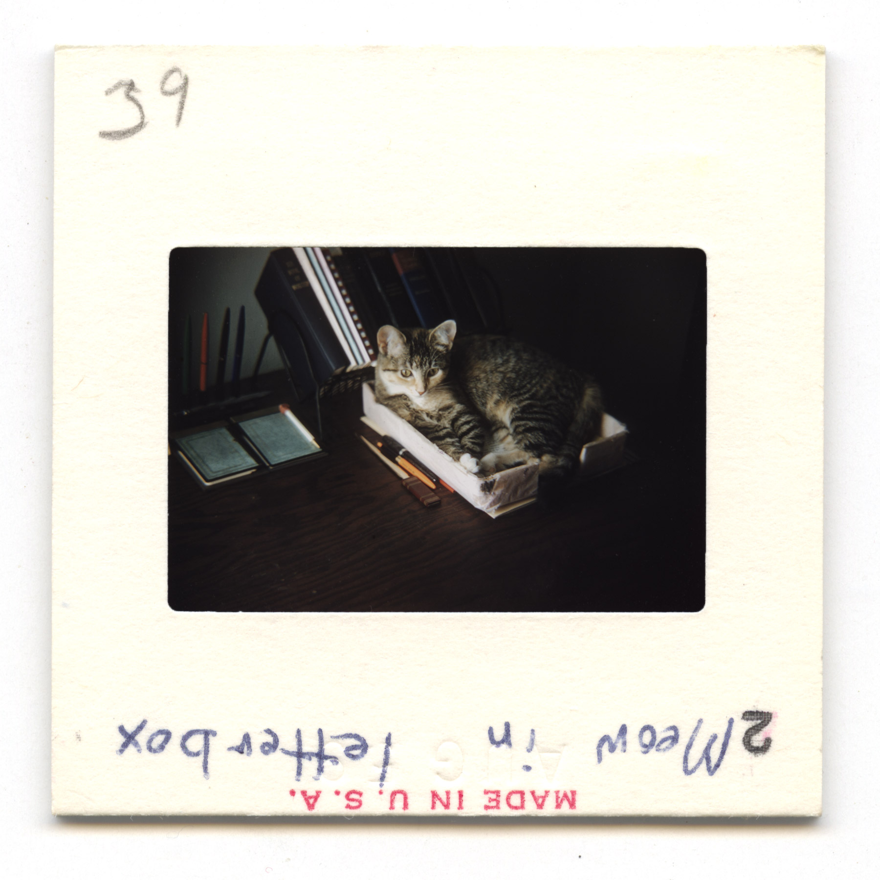 Meow In Letterbox - 1959