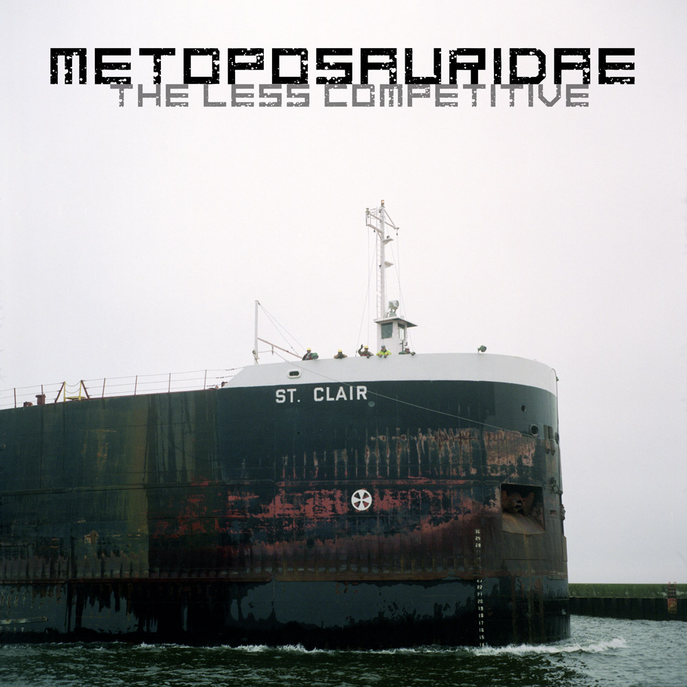 Metoposauridae - The Less Competitive