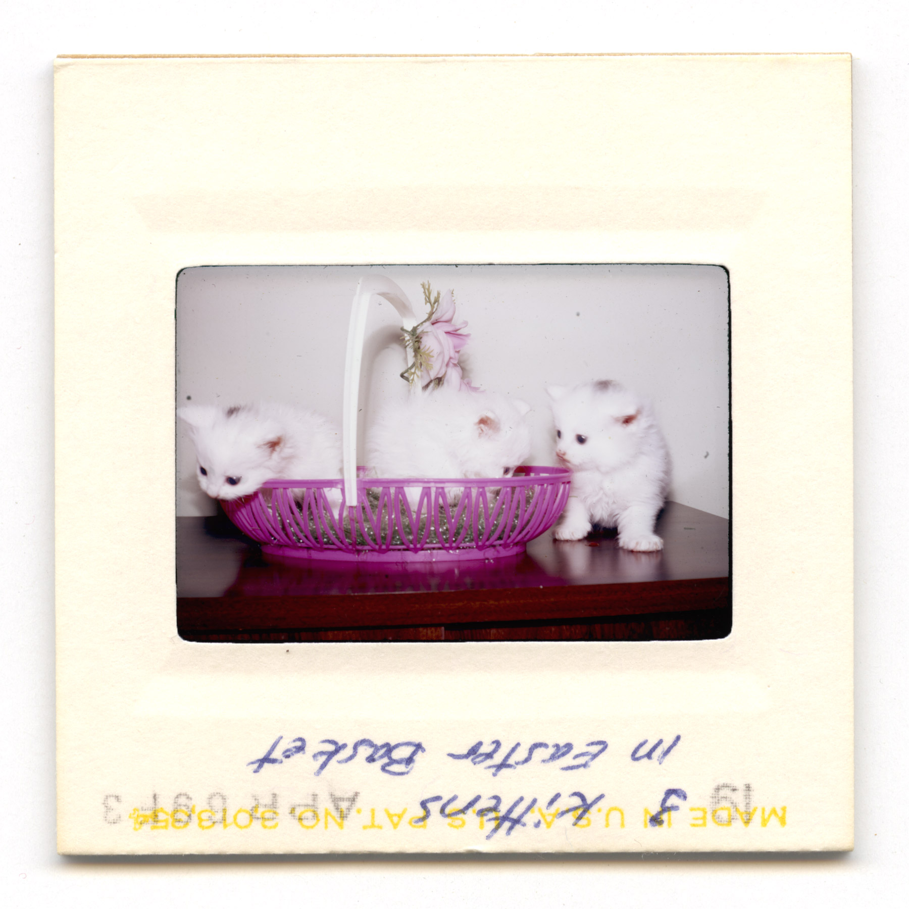 Three Kittens In Easter Basket - 1969