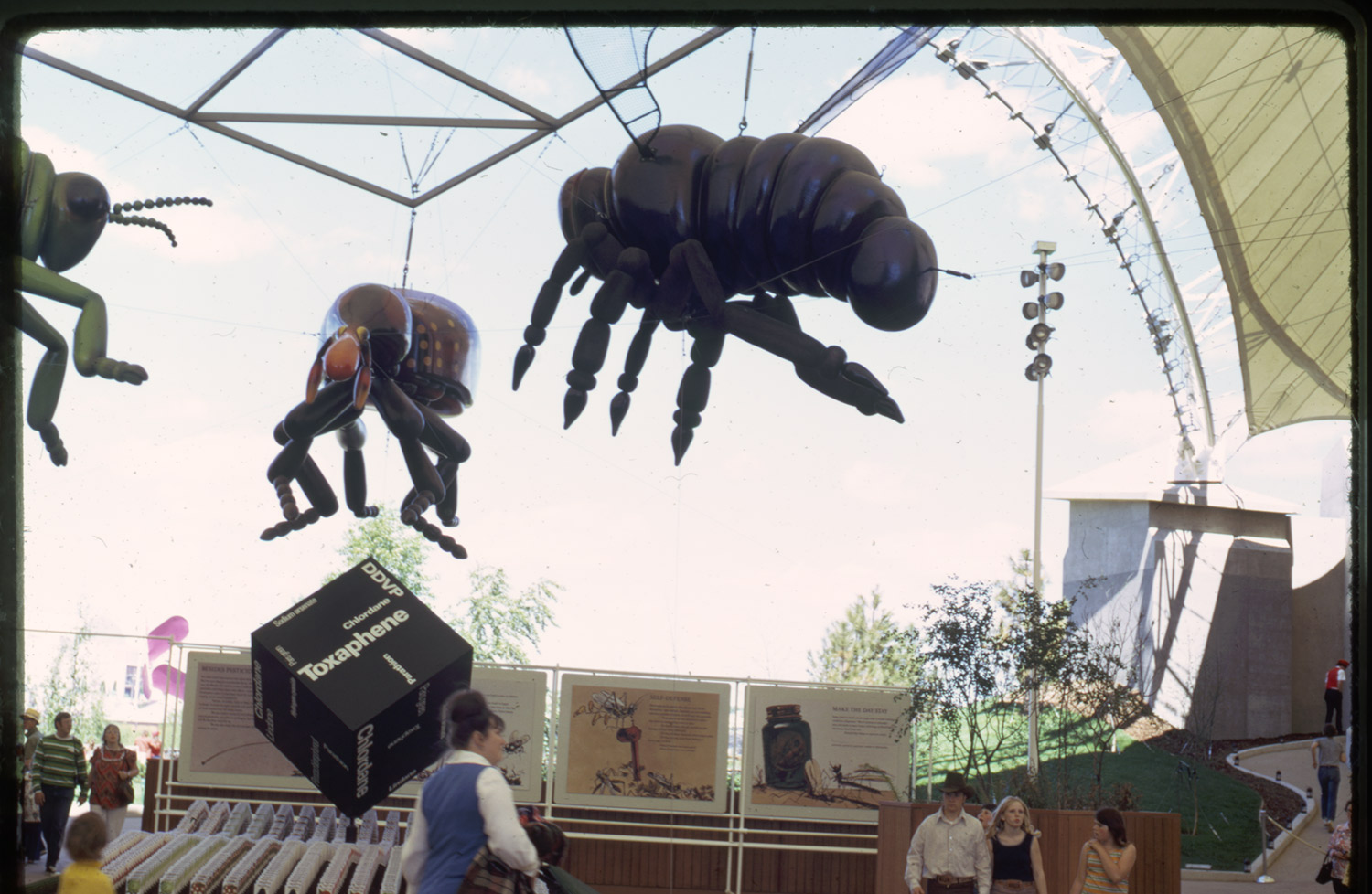 Toxaphene - June 1974