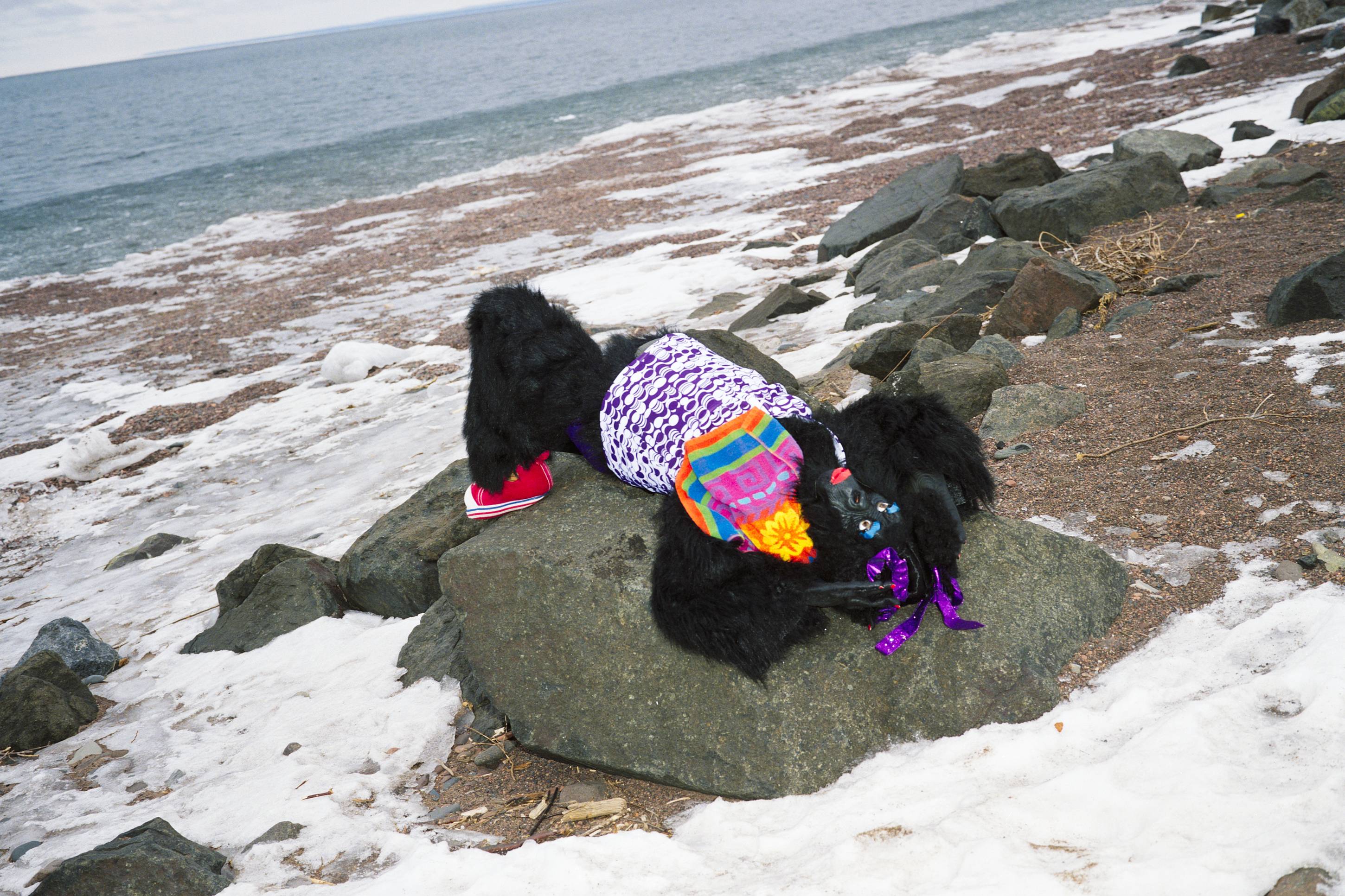 Ape, Duluth, Minnesota, February 2011