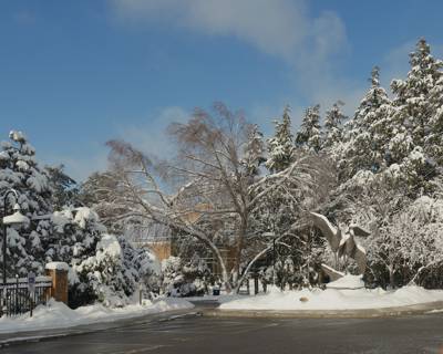 Leigh Yawkey Woodson Art Museum, Wausau, Wisconsin, December 2022